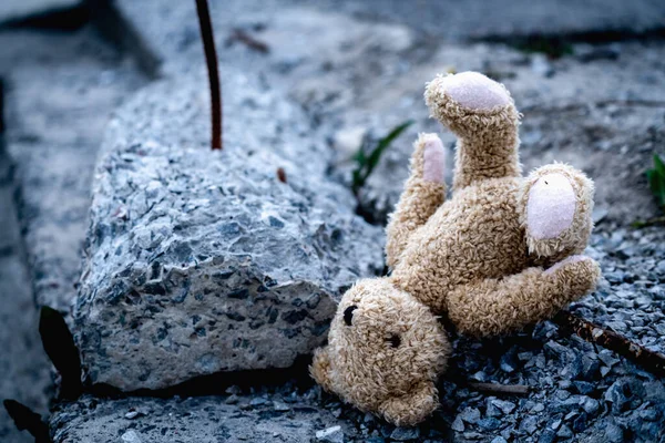 Imagem Conceitual Perda Infância Futuro Urso Pelúcia Brinquedo Infantil Contra — Fotografia de Stock