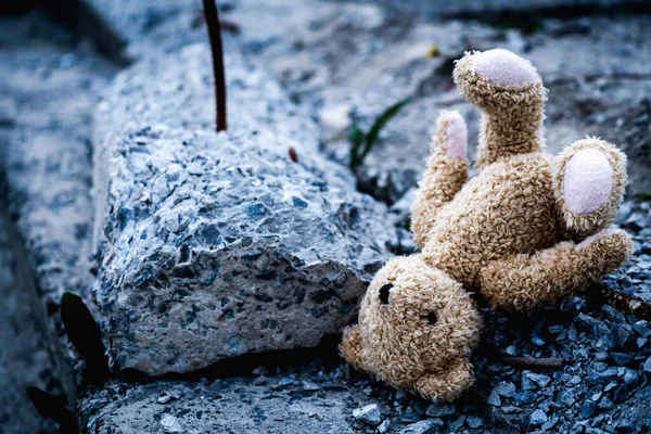 Urso Pelúcia Brinquedo Infantil Contra Fundo Concreto Edifício Destruído — Fotografia de Stock