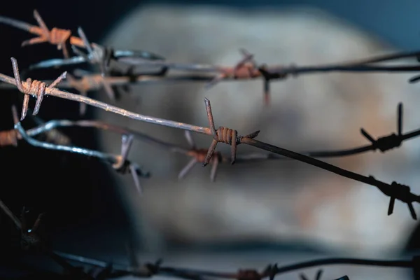 Close up barbed wire as a symbol of violence, war, human rights violations, dictatorship and totalitarian regime. Horizontal image.