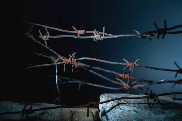 Barbed wire as a symbol of violence, war, human rights violations, dictatorship and totalitarian regime.