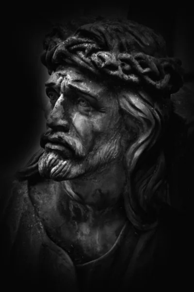 Jesus Christ Crown Close Vertical Image — Stok fotoğraf