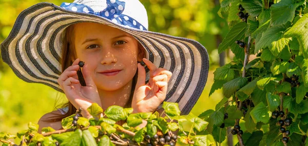 Beautiful Young Girl Wearing Straw Hat Picking Ripe Blackberry Blackberry — Foto Stock