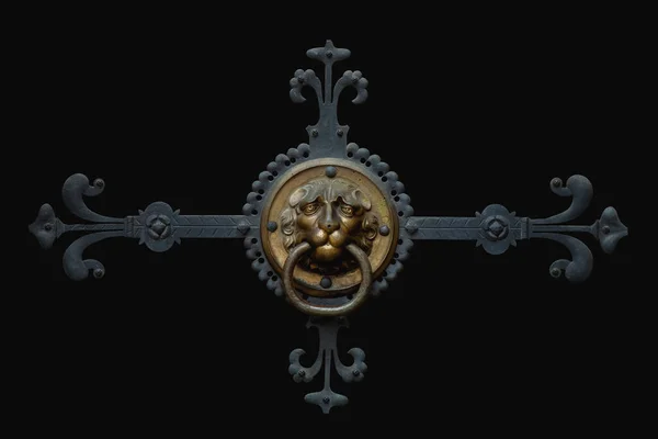 Elements of architectural decorations with lion head on dark background.