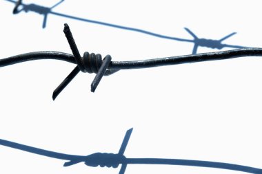 Totaliterliğin, otoriterliğin ve aşırılık yanlısı şiddetin sembolü olarak beyaz arkaplana karşı dikenli tel. Boşluğu kopyala.