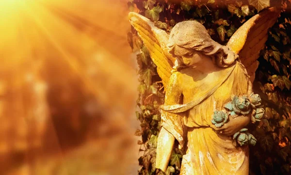 Belo Anjo Guarda Fragmento Uma Estátua Antiga Espaço Livre Cópia — Fotografia de Stock
