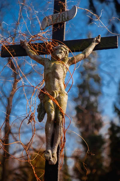 Святой Крест Распятым Иисусом Христом Древняя Статуя Плюща Вертикальное Изображение — стоковое фото