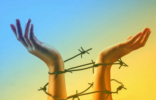 Ett Barns Händer Taggtråd Som Symbol För Rysslands Krig Mot — Stockfoto