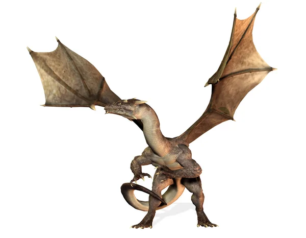 Hårt ansatta dragon — Stockfoto