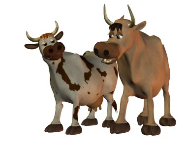 inek ve boğa