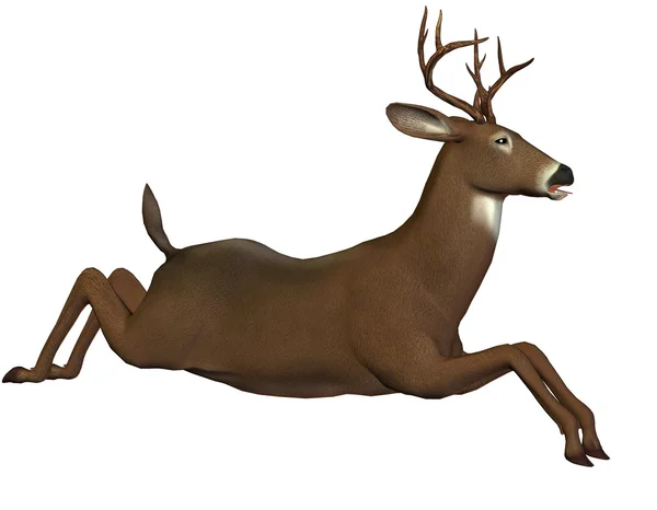 Jumping deer — Stock Photo, Image