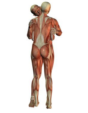 bir kucaklama ile insan anatomisi
