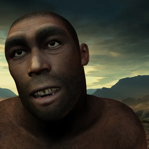 Vroege mens homo erectus Stockfoto