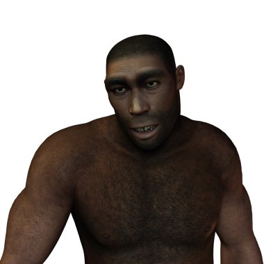 Early humans Homo erectus clipart