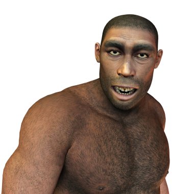 erken man, homo erectus
