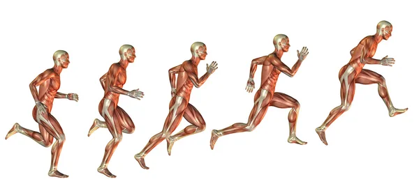 Мышцы изучают подход к прыжку — стоковое фото
