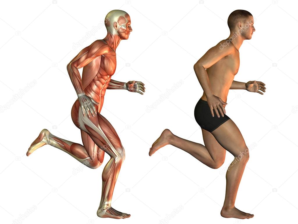 Male body when walking