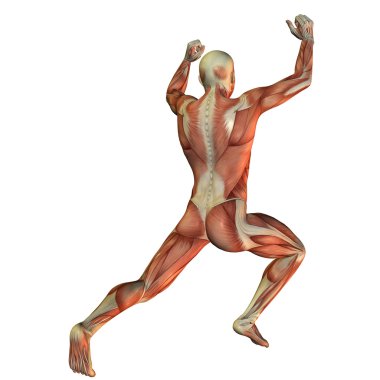 kas yapısı zaman arkadan halterci