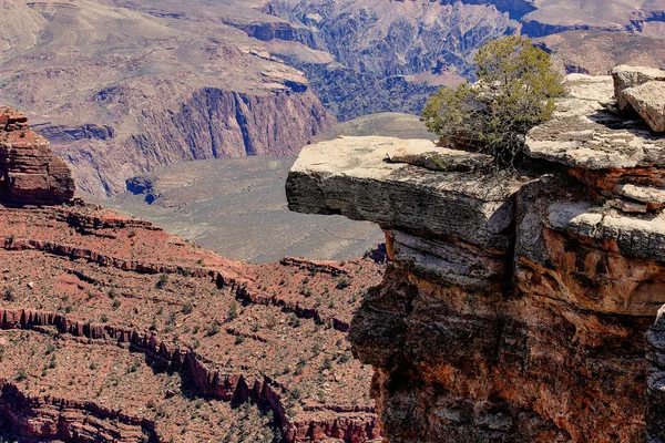 Grote Canyon Rechtenvrije Stockafbeeldingen