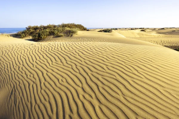 Пустыня Маспаломас Гран-Канария — стоковое фото