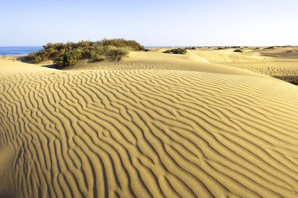 Öken maspalomas gran canaria — Stockfoto