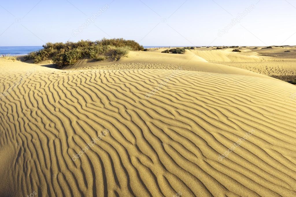 Desert Maspalomas Gran Canaria