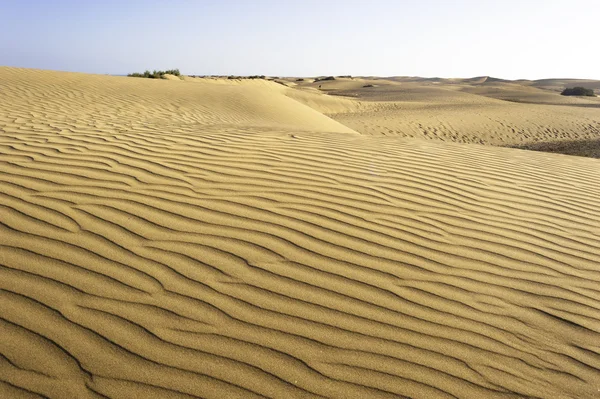 Zand woestijn — Stockfoto