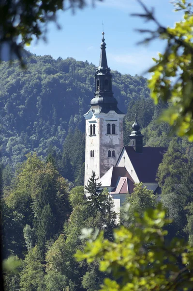 Lago di Bled Slovenia — Foto Stock