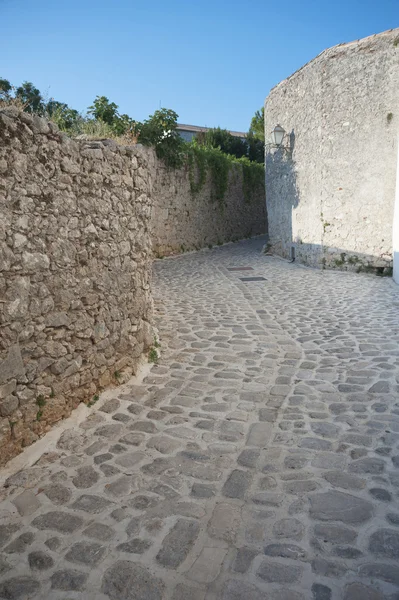 Mediterraneo Stretta strada lastricata in pietra — Foto Stock