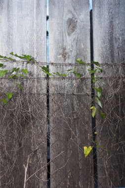 Ahşap döşeme arka planı