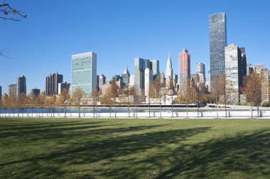 New York Şehri