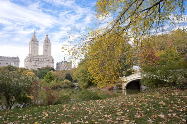 Colores de otoño en Central Park Nueva York — Foto de Stock