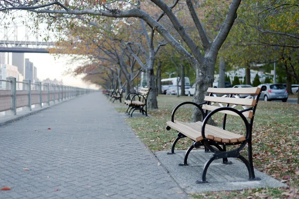 Roosevelt Island River Walk เมืองนิวยอร์ก — ภาพถ่ายสต็อก