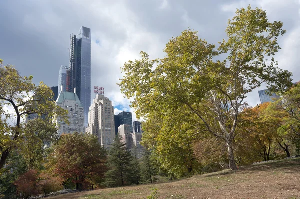 Central Park in New York City — Stockfoto