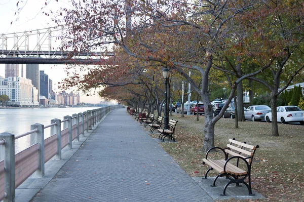 Roosevelt island strandpromenaden new york city — Stockfoto