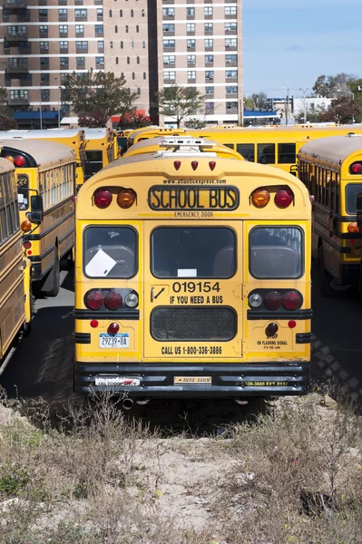 A New York City school buses. — Stock Photo, Image