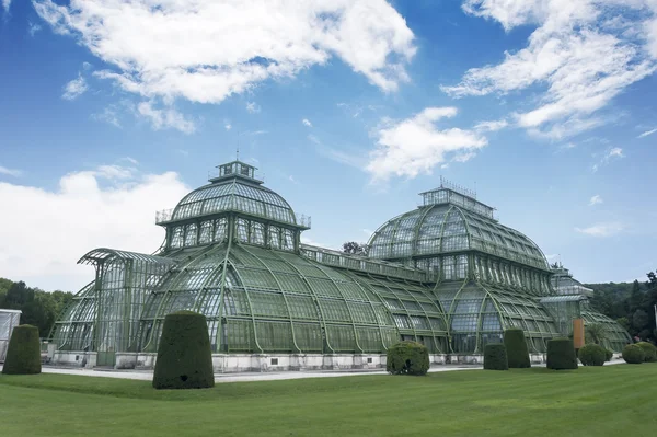 Palmenhaus Wien Österreich — Stockfoto