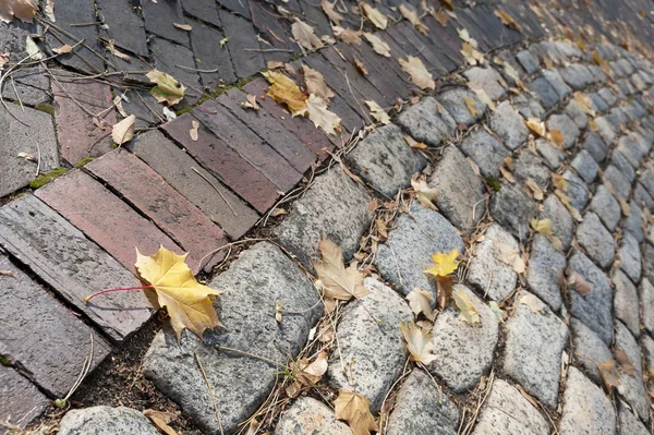 Camino de ladrillo de otoño — Foto de Stock