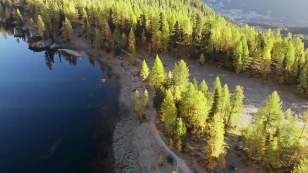 Piękna Jesienna Scena Plenerowa Jeziora Federa Dolomites Yellow Fall Trees — Wideo stockowe