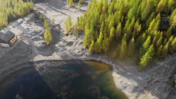 Belle Scène Automne Plein Air Lac Federa Dans Les Dolomites — Video
