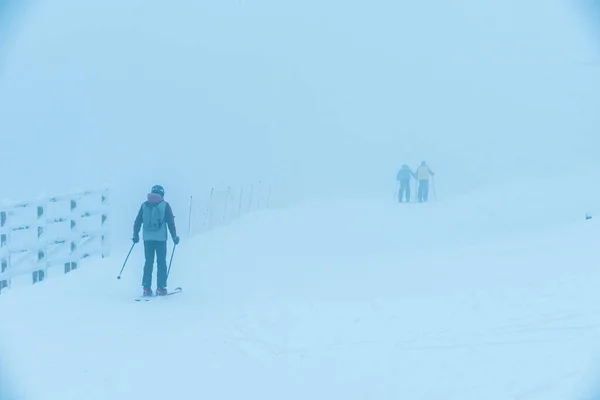 Mountain skiers go on mountain top in heavy snow storm, winter blizzard on mountain peak Tornik on Zlatibor Mountain in Serbia, Europe.