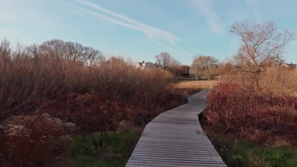 Vista Aérea Lily Pond Park Otoño Nantucket Island — Vídeo de stock