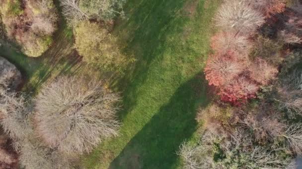 Flygfoto Utsikt Över Lily Pond Park Fall Nantucket Island — Stockvideo