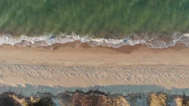 Aerial Footage Waves Jetties Beach Nantucket Island — 비디오