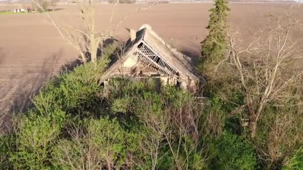 Luchtvlucht Abandoned Ranch Flat Agricultural Velden Zonnige Voorjaarsavond Heldere Lucht — Stockvideo