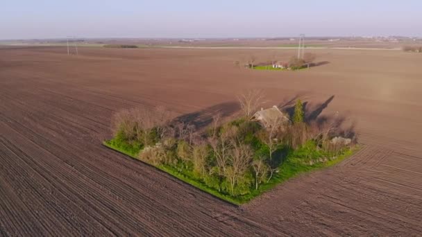 Letecký Let Nad Opuštěným Rančem Plochých Zemědělských Polích Slunečného Jarního — Stock video
