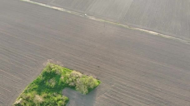 Güneşli Bir Bahar Akşamında Düz Tarım Tarlalarındaki Terk Edilmiş Çiftlik — Stok video