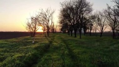 Güneşli bir bahar akşamında, Düz Tarım Tarlalarındaki Terk Edilmiş Çiftlik üzerinde açık bir gökyüzü. Voyvodina, Sırbistan, Avrupa.