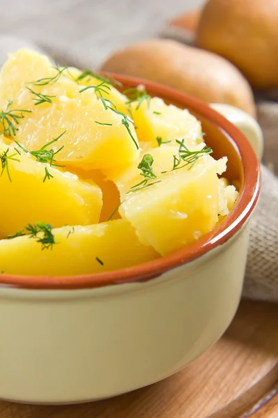 Vařené brambory s máslem a koprem — Stock fotografie