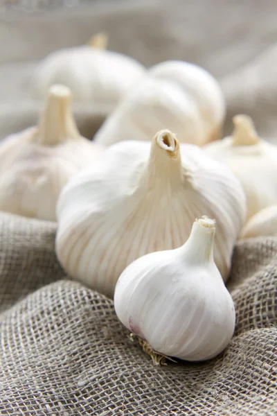 Knoblauch — Stockfoto