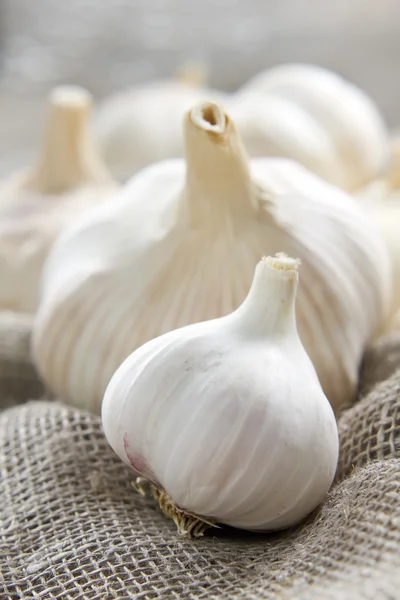 Sarımsak — Stok fotoğraf